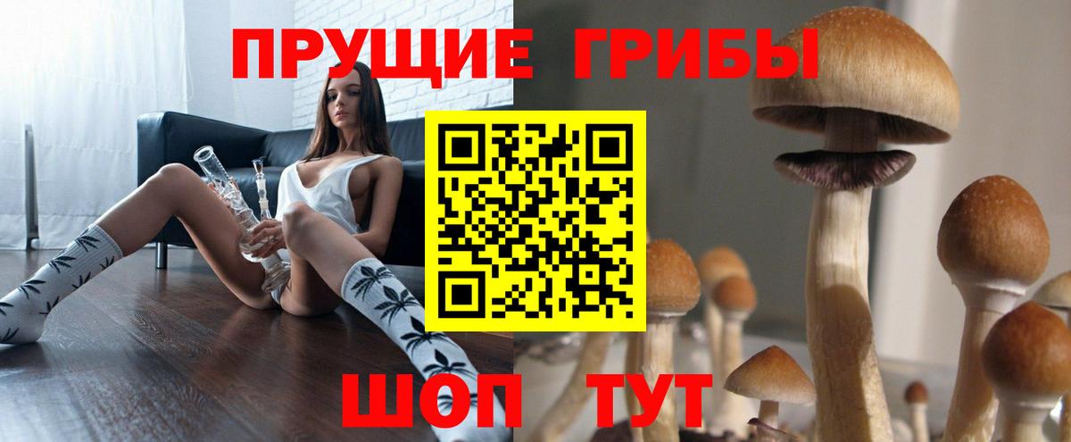 Железноводск  Псилоцибиновые грибы прущие грибы  Вход с VPN 